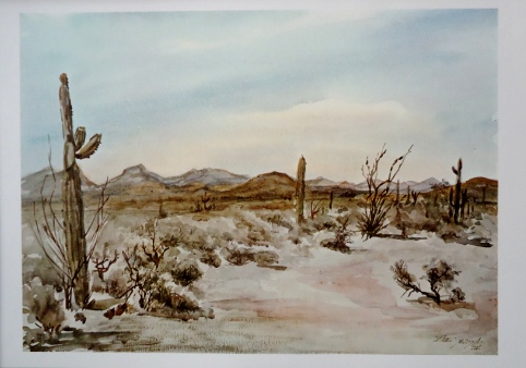 Beteta "Desierto de Sonora"