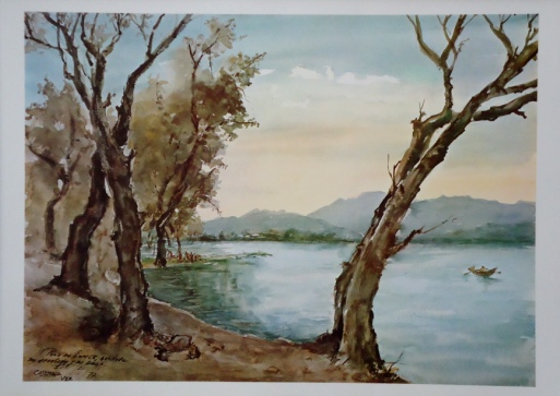 Beteta "Catemaco"