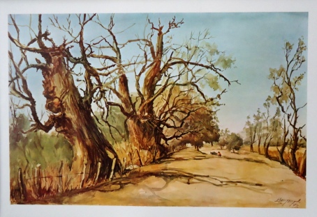 Beteta "Paque Nacional..."