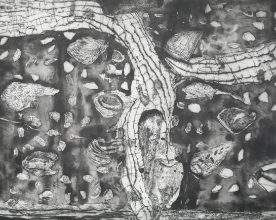 Irma Palacios "Lluvia Fosil"
