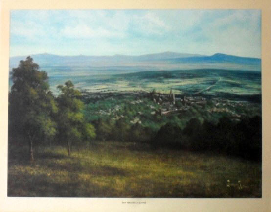Marco Antonio Zepeda T. "San Miguel Allende"