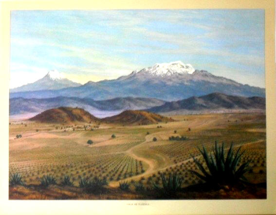 Marco Antonio Zepeda T. "Valle de Tlaxcala"