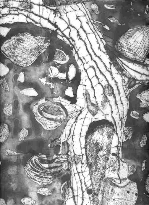 T&iacute;tulo "Lluvia f&oacute;sil"; Autor: Palacios; Medidas: 49 cms X 38 cms;  Tiraje 34/100; A&ntilde;o 2000.